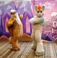 Size: 2154x2214 | Tagged: safe, artist:spainfischer, character:gilda, character:rainbow dash, species:griffon, species:human, clothing, convention, cosplay, costume, everfree northwest, everfree northwest 2019, fursuit, irl, irl human, photo, sydneyroo(coser)