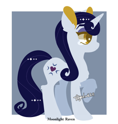 Size: 1280x1340 | Tagged: safe, artist:snow angel, character:moonlight raven, species:pony, species:unicorn, abstract background, chest fluff, colored pupils, ear fluff, female, leg fluff, mare, profile, solo