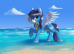 Size: 2500x1833 | Tagged: safe, artist:skipsy, character:soarin', species:pegasus, species:pony, beach, clothing, goggles, male, solo, spread wings, stallion, uniform, wet, wet mane, wings, wonderbolts uniform