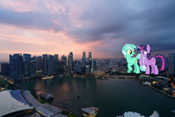Size: 3840x2561 | Tagged: safe, artist:andoanimalia, artist:moongazeponies, character:lyra heartstrings, character:twilight sparkle, character:twilight sparkle (alicorn), species:alicorn, species:pony, female, giant lyra heartstrings, giant pony, giantess, highrise ponies, irl, macro, mega lyra, mega twilight sparkle, photo, ponies in real life, singapore