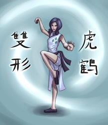 Size: 1300x1500 | Tagged: dead source, safe, artist:ninjaham, character:rarity, species:human, g4, abstract background, acdsee, action pose, cheongsam, chinese, clothing, female, humanized, kung fu, martial artist rarity, solo, text