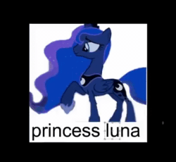 Size: 392x360 | Tagged: safe, artist:alumx, character:princess luna, species:alicorn, species:pony, animated, bone, female, mare, meme, photoshop, solo, sound, transformation, ulna, webm, wordplay
