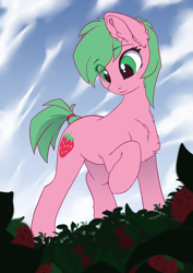 Size: 2480x3508 | Tagged: safe, artist:arctic-fox, oc, oc:pine berry, species:earth pony, species:pony, chest fluff, cloud, cloudy, ear fluff, female, field, fluffy, food, mare, perspective, raised hoof, strawberry