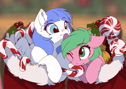 Size: 3508x2480 | Tagged: safe, artist:arctic-fox, oc, oc only, oc:pine berry, oc:snow pup, species:earth pony, species:pegasus, species:pony, candy, candy cane, christmas, christmas stocking, clothing, food, holiday, holly, mints, nibbling, playful