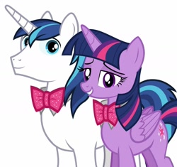 Size: 1280x1202 | Tagged: safe, artist:andoanimalia, artist:disneymarvel96, edit, character:shining armor, character:twilight sparkle, character:twilight sparkle (alicorn), species:alicorn, species:pony, species:unicorn, bow tie, brother and sister, bust, female, male, portrait, siblings, simple background, vector, vector edit, white background
