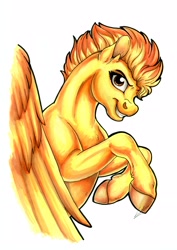 Size: 2481x3509 | Tagged: safe, artist:lupiarts, character:spitfire, species:pegasus, species:pony, cloven hooves, female, high res, mare, simple background, solo, traditional art, white background