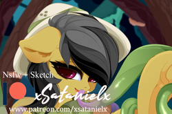 Size: 3987x2632 | Tagged: safe, artist:xsatanielx, character:daring do, species:pony, advertisement, patreon, patreon logo, patreon preview, paywall content