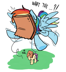 Size: 700x760 | Tagged: safe, artist:paperbagpony, character:rainbow dash, oc, oc:paper bag, species:earth pony, species:pegasus, species:pony, blinded, dialogue, fake cutie mark, female, flying, mare, oh dear, paper bag