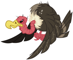 Size: 1024x848 | Tagged: safe, artist:andoanimalia, species:bird, episode:the ticket master, g4, my little pony: friendship is magic, simple background, transparent background, vector, vulture