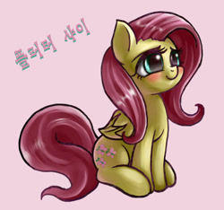 Size: 925x864 | Tagged: safe, artist:mrs1989, character:fluttershy, cute, female, korean, shyabetes, solo