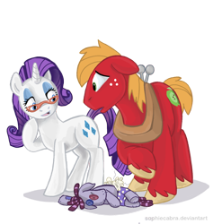Size: 902x950 | Tagged: safe, artist:spainfischer, character:big mcintosh, character:rarity, character:smarty pants, species:earth pony, species:pony, glasses, male, stallion