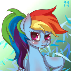 Size: 1500x1500 | Tagged: safe, artist:mrs1989, character:rainbow dash, alternate hairstyle, blushing, female, frown, looking at you, ponytail, solo