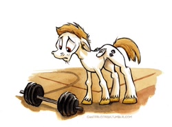 Size: 693x512 | Tagged: safe, artist:kenket, artist:spainfischer, character:bulk biceps, species:pegasus, species:pony, barbell, canterlot high, canterlot high blog, earring, frown, male, sad, skinny, solo, stallion, unshorn fetlocks, weights, younger