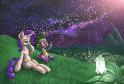 Size: 3000x2027 | Tagged: safe, artist:mrs1989, character:rarity, character:spike, ship:sparity, female, male, night, scenery, shipping, stargazing, straight