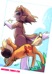 Size: 495x700 | Tagged: safe, artist:bakki, character:applejack, character:winona, species:dog, species:earth pony, species:pony, 30 minute art challenge, appledog, bipedal, chest fluff, collar, dogified, female, fluffy, grass, leg fluff, looking up, mare, open mouth, plot, ponified, role reversal, semi-anthro, smiling, species swap, stick