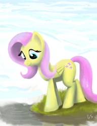 Size: 776x1009 | Tagged: safe, artist:gsphere, character:fluttershy, female, solo, water