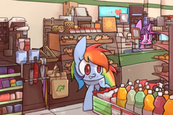 Size: 1000x666 | Tagged: safe, artist:joycall6, character:rainbow dash, character:twilight sparkle, species:pegasus, species:pony, g4, blushing, bottle, convenience store, counter, duo, female, mare, smiling, store, umbrella, walking