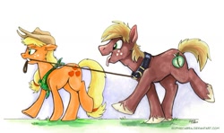 Size: 800x473 | Tagged: safe, artist:spainfischer, character:applejack, character:big mcintosh, species:earth pony, species:pony, big macindog, collar, cute, discorded, leash, male, mouth hold, neckerchief, stallion, traditional art, unshorn fetlocks, walking