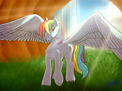 Size: 3309x2478 | Tagged: safe, artist:elzzombie, character:rainbow dash, backwards cutie mark, crepuscular rays, female, looking at you, solo, spread wings, sunlight, waterfall, wings, wink