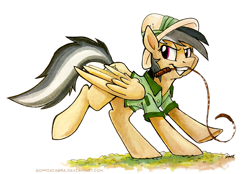 Size: 1000x695 | Tagged: safe, artist:spainfischer, character:daring do, clothing, female, signature, simple background, solo, whip