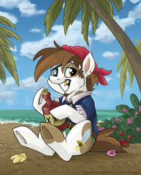 Size: 807x1000 | Tagged: safe, artist:spainfischer, character:pipsqueak, species:crab, bandana, bottle, cloud, cloudy, dagger, ear piercing, flower, gold tooth, island, male, ocean, older, palm tree, patch, piercing, pirate, sand, seashell, signature, sitting, sky, solo, tree, wave