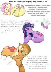 Size: 727x1024 | Tagged: safe, artist:camychan, artist:thevioletyoshi, edit, character:applejack, character:fluttershy, character:spike, character:twilight sparkle, color edit, colored, original species, ponyslug, species swap