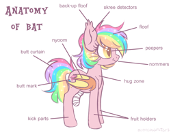 Size: 2506x1955 | Tagged: safe, artist:hawthornss, oc, oc only, oc:paper stars, species:bat pony, species:pony, amputee, anatomy, anatomy chart, anatomy guide, chart, cute little fangs, fangs, female, mare, nyoom, simple background, skree, smiling, solo, text, white background