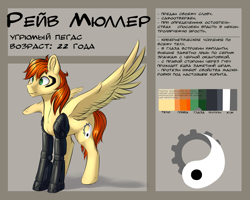 Size: 5000x4000 | Tagged: safe, artist:vincher, oc, oc only, oc:rave muller, species:pegasus, species:pony, absurd resolution, cyborg, cyrillic, male, mechanical legs, reference sheet, russian, solo, spread wings, stallion, wings