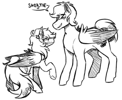 Size: 1158x953 | Tagged: safe, artist:kikirdcz, character:dumbbell, character:rainbow dash, species:pegasus, species:pony, g4, angry, cross-popping veins, hoers, monochrome, size difference, sketch, smoldash