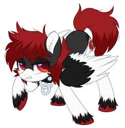 Size: 2066x2110 | Tagged: safe, artist:hawthornss, oc, oc only, oc:umbra moon, species:pegasus, species:pony, collar, cute, cute little fangs, ear fluff, fangs, frown, simple background, transparent background, werewolf