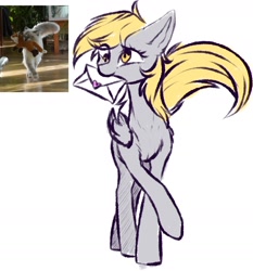 Size: 1846x1981 | Tagged: safe, artist:vincher, character:derpy hooves, species:pegasus, species:pony, behaving like a cat, cute, female, letter, mailmare, mare, mouth hold, ponified animal photo, simple background, white background, yellow eyes