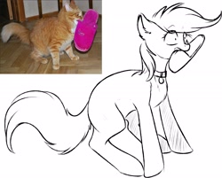 Size: 2284x1839 | Tagged: safe, artist:vincher, species:earth pony, species:pony, behaving like a cat, clothing, collar, female, lineart, mare, mouth hold, pet tag, pinpoint eyes, ponified animal photo, simple background, slippers, white background