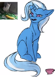 Size: 1549x2160 | Tagged: safe, artist:vincher, character:trixie, species:pony, species:unicorn, angry, banana, behaving like a cat, cup, female, food, mare, ponified animal photo, simple background, sitting, teacup, white background