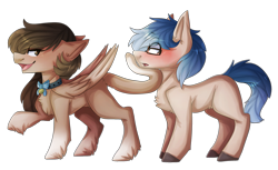 Size: 2086x1276 | Tagged: safe, artist:oddends, oc, oc only, species:earth pony, species:pegasus, species:pony, blushing, clothing, couple, simple background, transparent background, unshorn fetlocks