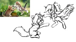 Size: 1280x720 | Tagged: safe, artist:vincher, species:pegasus, species:pony, species:unicorn, cat, ponified animal photo, sketch