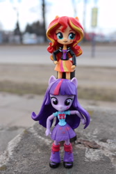 Size: 4000x6000 | Tagged: safe, artist:artofmagicpoland, character:sunset shimmer, character:twilight sparkle, ship:sunsetsparkle, my little pony:equestria girls, blurred background, doll, equestria girls minis, female, irl, lesbian, photo, pony ears, shipping, toy