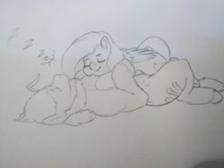 Size: 2592x1944 | Tagged: safe, artist:mr.smile, character:fluttershy, oc, oc:boulder, species:earth pony, species:pony, bouldshy, canon x oc, female, lying on top of someone, male, mare, pencil drawing, shipping, sleeping, stallion, straight, traditional art, zzz