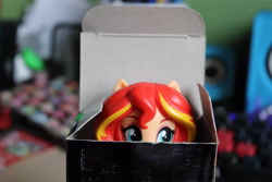 Size: 6000x4000 | Tagged: safe, artist:artofmagicpoland, character:sunset shimmer, my little pony:equestria girls, cute, doll, equestria girls minis, eye, eyes, female, hiding, irl, looking at you, photo, ponies in box, shimmerbetes, solo, toy