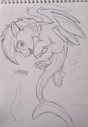Size: 2212x3170 | Tagged: safe, artist:airfly-pony, rcf community, oc, oc only, oc:shark bite, species:pony, back, cute, design, design a pony, fins, gills, lineart, long tail, looking at you, male, nostrils, ocean, original species, shark, shark pony, shark tail, shark teeth, sharp ears, sharp teeth, short hair, smiling, solo, stallion, strange pose, swimming, teeth, underhoof, wings