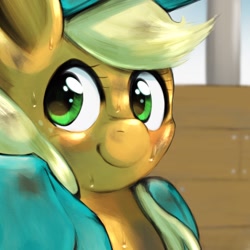 Size: 1536x1536 | Tagged: safe, artist:kurogewapony, character:applejack, species:earth pony, species:pony, female, looking at you, mare, solo