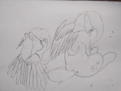 Size: 1280x960 | Tagged: safe, artist:mr.smile, character:fluttershy, looking at you, shy, sitting, traditional art