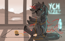 Size: 3762x2358 | Tagged: safe, artist:vincher, oc, advertisement, solo, ych example, your character here