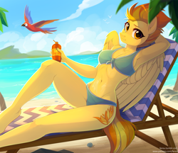 Size: 2922x2524 | Tagged: safe, artist:fensu-san, character:spitfire, species:anthro, species:bird, species:parrot, species:pegasus, species:unguligrade anthro, g4, adorasexy, armpits, beach, bikini, breasts, cleavage, clothing, cute, cutefire, digital art, female, high res, looking at you, macaw, mare, palm tree, raised eyebrow, sexy, solo, stupid sexy spitfire, swimsuit, three quarter view, tree, wings