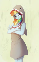 Size: 1031x1639 | Tagged: safe, artist:vistamage, character:rainbow dash, my little pony:equestria girls, birbshark, breasts, busty rainbow dash, cleavage, clothing, costume, crossed arms, female, looking at you, shark costume, sketch, solo