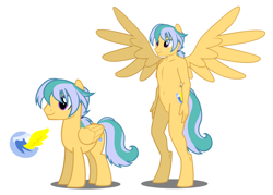 Size: 1310x936 | Tagged: safe, artist:flash equestria photography, oc, oc only, oc:jet wave, species:anthro, species:pegasus, species:pony, species:unguligrade anthro, anthro ponidox, cutie mark, reference sheet, show accurate anthro, simple background, spread wings, wings