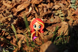 Size: 6000x4000 | Tagged: safe, artist:artofmagicpoland, character:sunset shimmer, my little pony:equestria girls, autumn, doll, equestria girls minis, eqventures of the minis, female, leaves, solo, toy