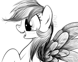 Size: 1280x1024 | Tagged: safe, artist:dsana, character:rainbow dash, species:pegasus, species:pony, inktober, female, ink drawing, mare, monochrome, open mouth, raised hoof, simple background, sketch, smiling, solo, spread wings, traditional art, white background, wings