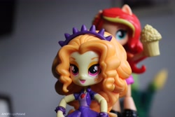 Size: 6000x4000 | Tagged: safe, artist:artofmagicpoland, character:adagio dazzle, character:sunset shimmer, my little pony:equestria girls, cider, doll, equestria girls minis, eqventures of the minis, female, irl, meme, photo, tankard, toy