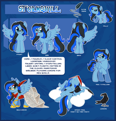 Size: 3595x3733 | Tagged: safe, artist:centchi, oc, oc only, oc:stormquill, species:bird, species:magpie, species:pegasus, species:pony, clothing, cloud, dress, female, filly, gala dress, glasses, mare, reference sheet, solo