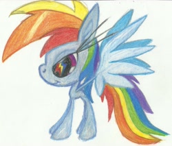 Size: 6829x5808 | Tagged: safe, artist:cybersquirrel, part of a set, character:rainbow dash, absurd resolution, cutie mark eyes, female, giant head, prismacolors, simple background, solo, traditional art, white background, wingding eyes